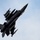 Buzzards breeze into RAF Lakenheath