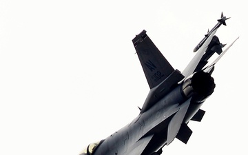 Buzzards breeze into RAF Lakenheath