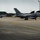 Buzzards breeze into RAF Lakenheath