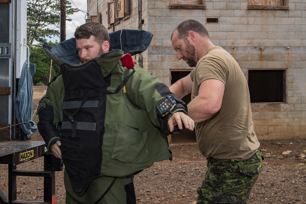 DVIDS - Images - Canadian clearance divers participate in an improvised ...