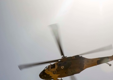 UH-60s conduct troop resupply during final training exercise