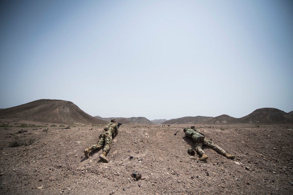 10 MTN DIV ground forces conduct Squad LFX training