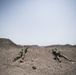 10 MTN DIV ground forces conduct Squad LFX training
