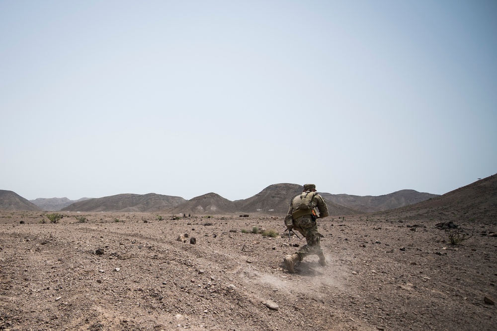 10 MTN DIV ground forces conduct Squad LFX training