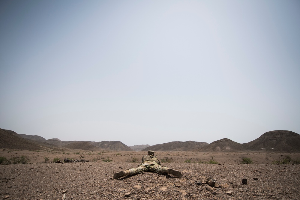 10 MTN DIV ground forces conduct Squad LFX training