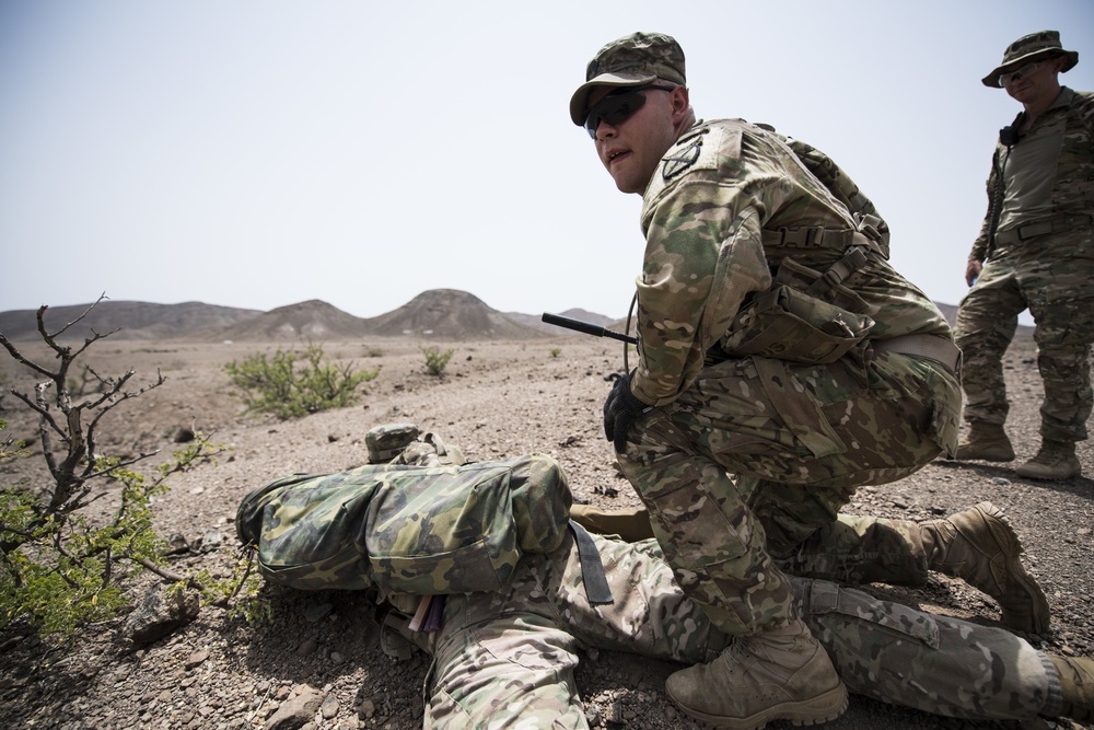 10 MTN DIV ground forces conduct Squad LFX training
