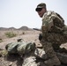 10 MTN DIV ground forces conduct Squad LFX training