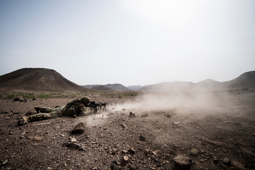 10 MTN DIV ground forces conduct Squad LFX training