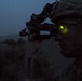 10 MTN DIV ground forces conduct Squad LFX training