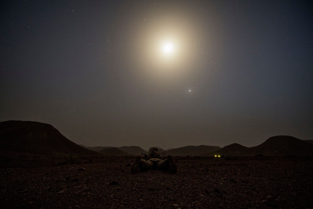 10 MTN DIV ground forces conduct Squad LFX training