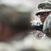10 MTN DIV ground forces conduct Squad LFX training
