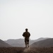 10 MTN DIV ground forces conduct Squad LFX training