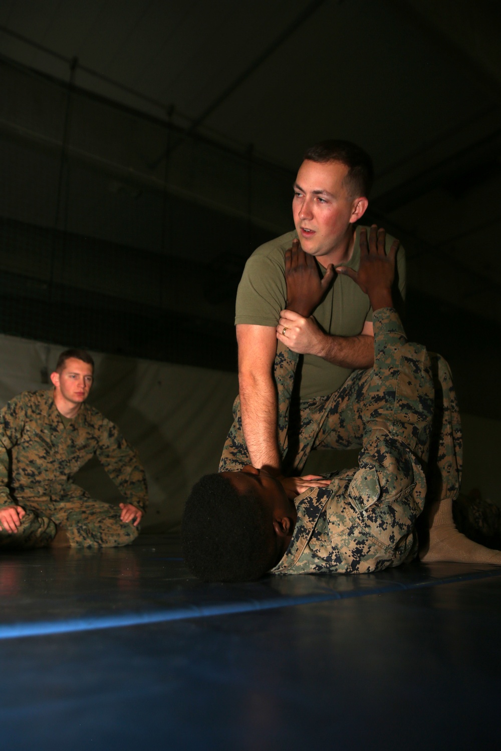 DVIDS - Images - Marines advance through MCMAP levels in Norway [Image ...