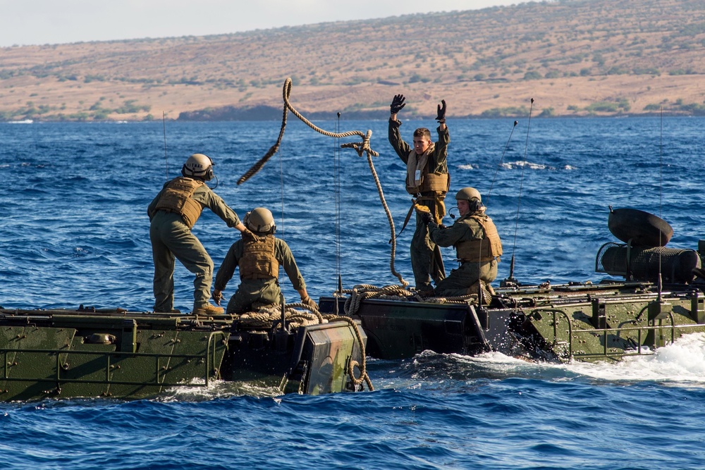 HMAS Adelaide (L01), U.S.M.C. Combat Assault Company Conduct Amphibious Assault Vehicle Operation Training During RIMPAC