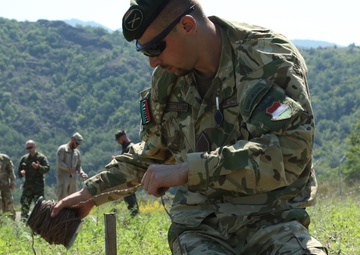 3-61 CAV hosts International Ranger Assessment, Kosovo