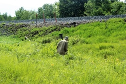 Fort McCoy part of annual statewide bluebird survey