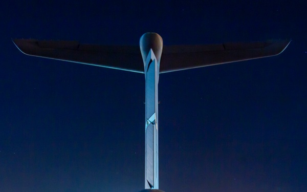 Port Dawgs on the line