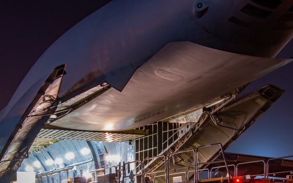 Port Dawgs on the line