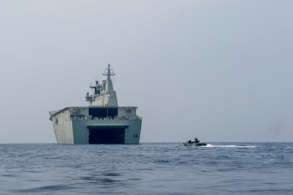 Assault amphibious vehicles board HMAS Adelaide during RIMPAC