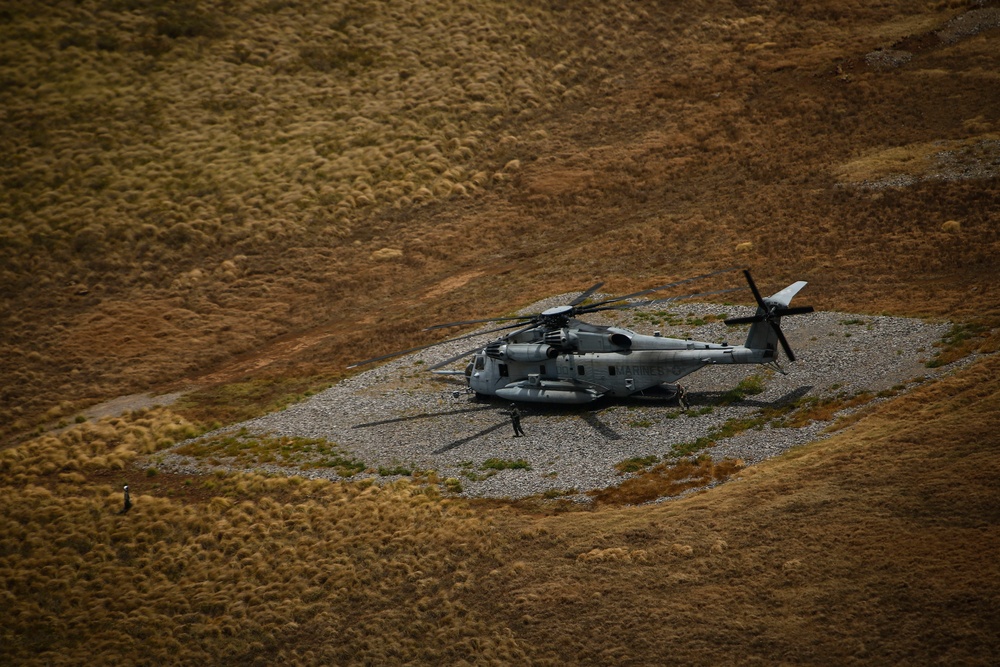 Scarface lends a hand during simulated search and rescue