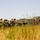 The thick fog of war: Leading Soldiers through the complexity of HIMARS training The thick fog of war: Leading Soldiers through the complexity of HIMARS training