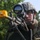 The thick fog of war: Leading Soldiers through the complexity of HIMARS training The thick fog of war: Leading Soldiers through the complexity of HIMARS training