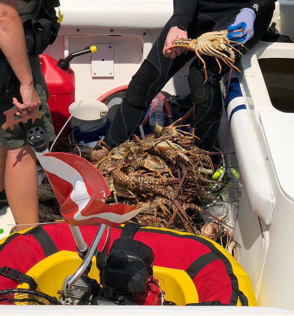 Coast Guard and FWC seize egg-bearing lobsters in Fort Lauderdale