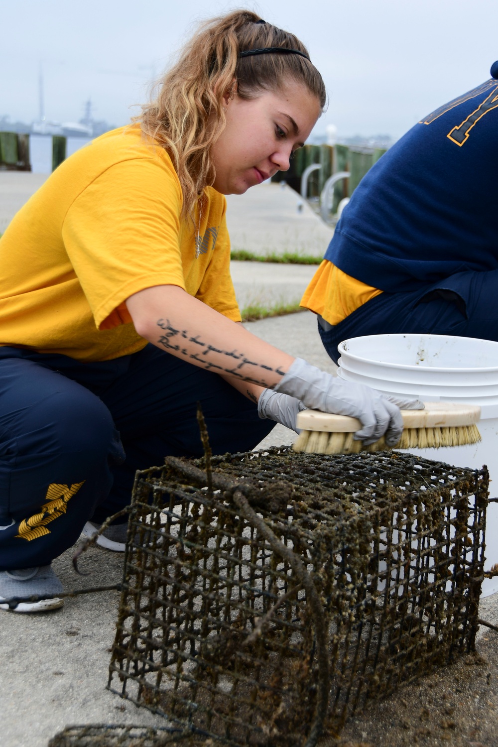 NMCP Sailors Volunteer to Clean Oyster Pods at Hospital Point Pier