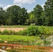 Soil replacement at Maxwell Golf Course