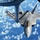 Stratotanker refuels F-22 in support of RIMPAC 2018