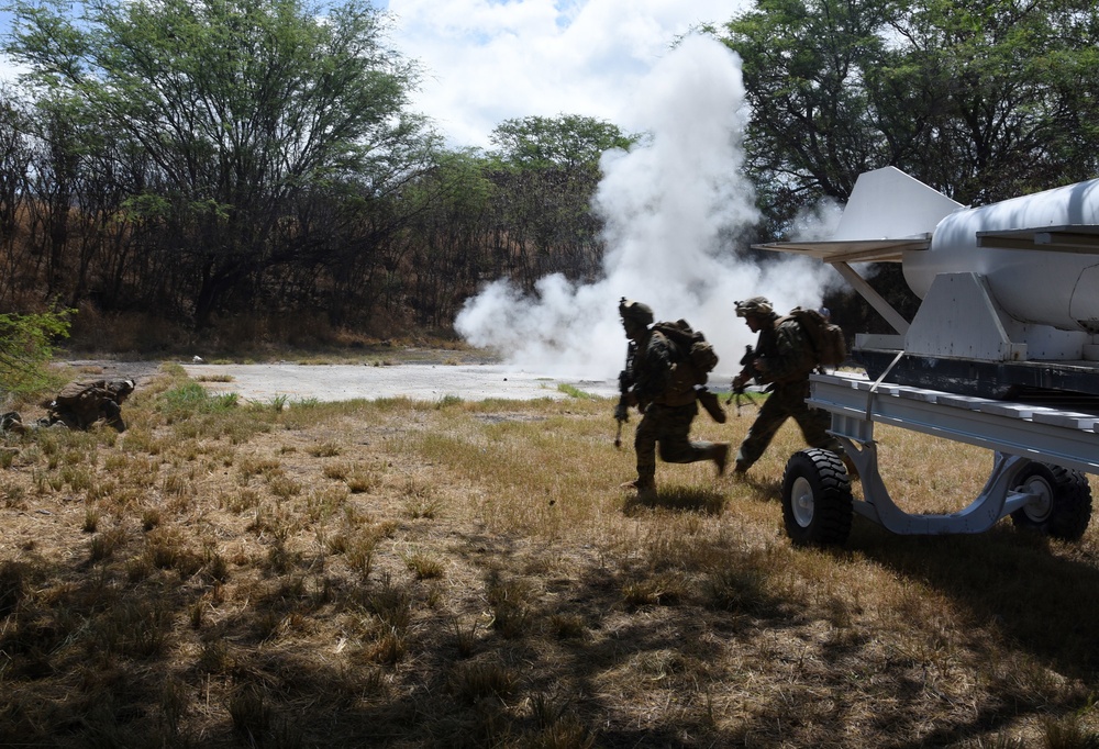 Multinational forces conduct personnel recovery training during RIMPAC 2018