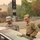 Cal Guard activates for Carr Fire