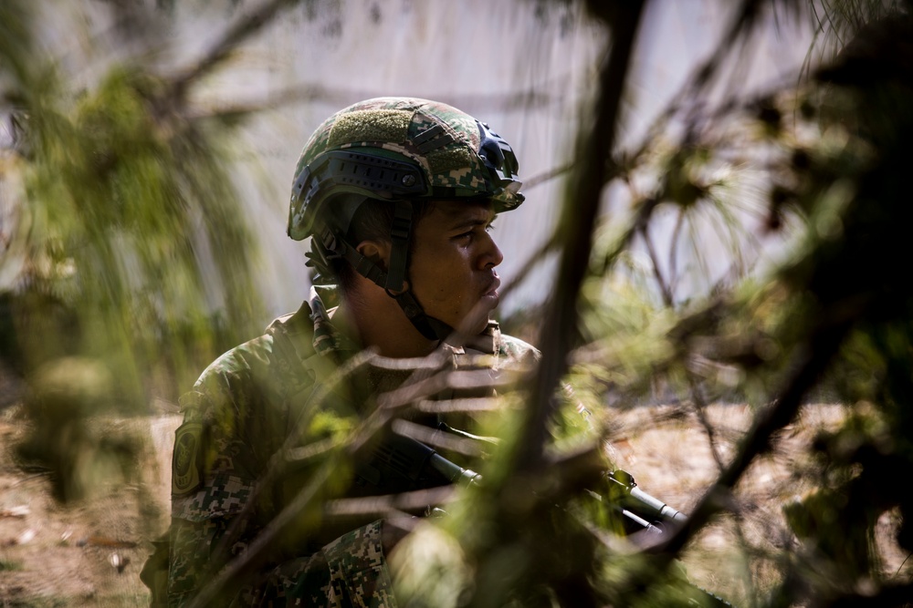 RIMPAC participants conduct Amphibious Landing Demonstration