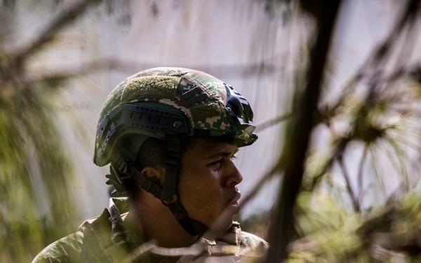 RIMPAC participants conduct Amphibious Landing Demonstration