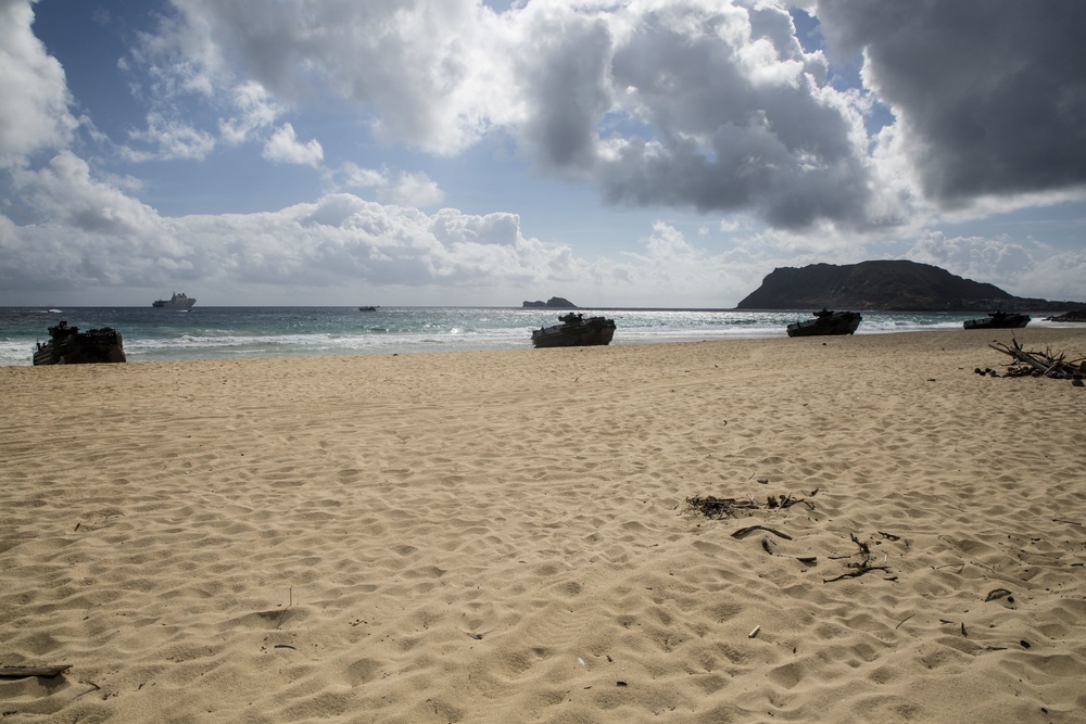 RIMPAC participants conduct Amphibious Landing Demonstration