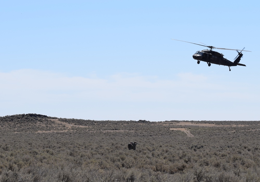 The 183rd Assault Helicopter Battalion trains personnel recovery, CSEL radio