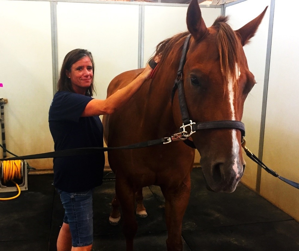 DVIDS Images Riding Equines to Achieve Confidence and Health (REACH