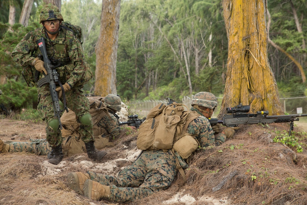 Amphibious Assault Exercise MCTAB