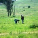 Land management work at Fort McCoy
