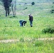 Land management work at Fort McCoy