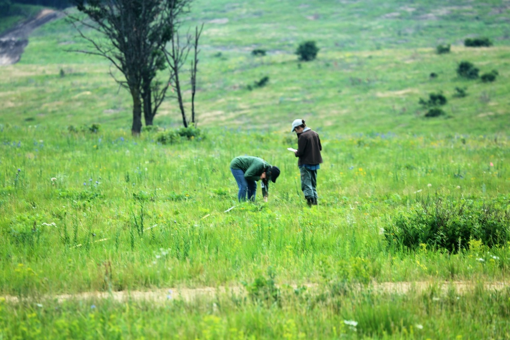 Land management work at Fort McCoy
