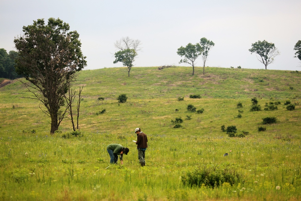 Land management work at Fort McCoy
