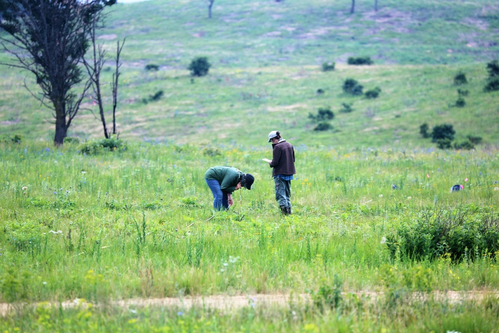 Land management work at Fort McCoy