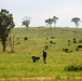 Land management work at Fort McCoy