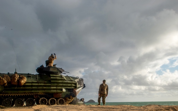 Troops Conduct Multi-National Amphibious Assault Raid During RIMPAC