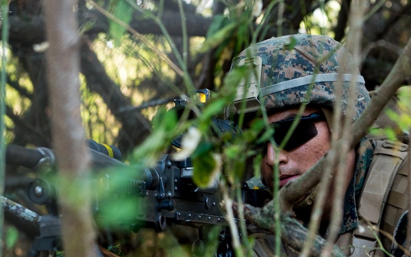 Troops Conduct Multi-National Assault Raid During RIMPAC