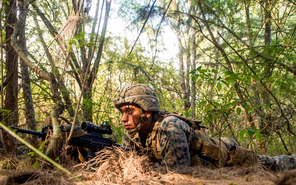 Troops Conduct Multi-National Assault Raid During RIMPAC