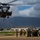CH-53 transports howitzer during RIMPAC amphib landing demo