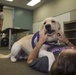 Pups for warriors: Marines with Wounded Warrior Battalion help train service dogs