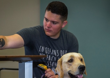 Pups for warriors: Marines with Wounded Warrior Battalion help train service dogs